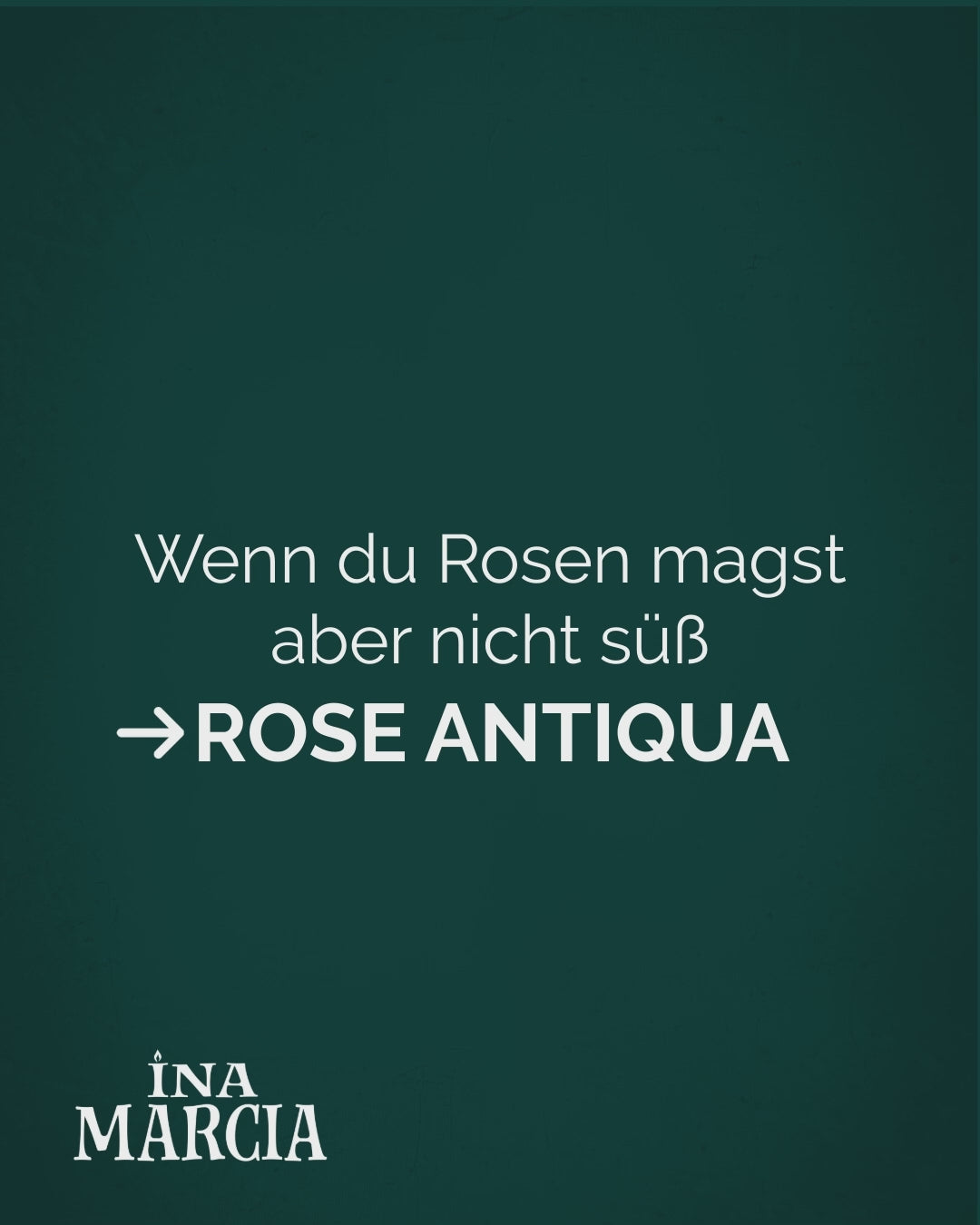 Rose Antiqua